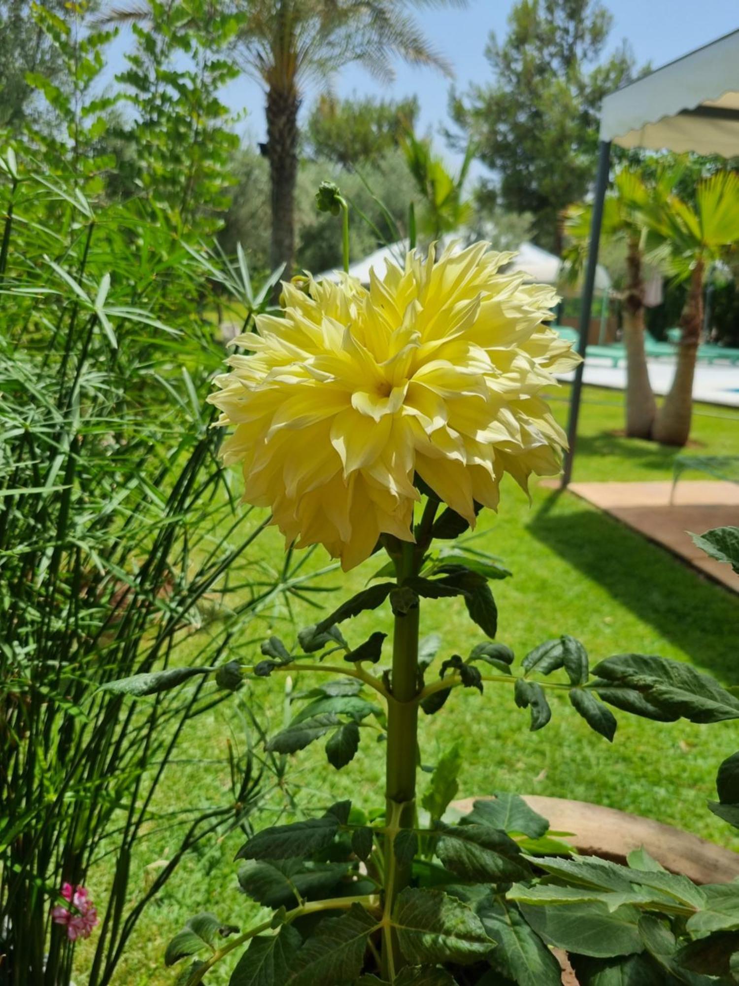 Riad Les Deux Citronniers Marraquexe Quarto foto