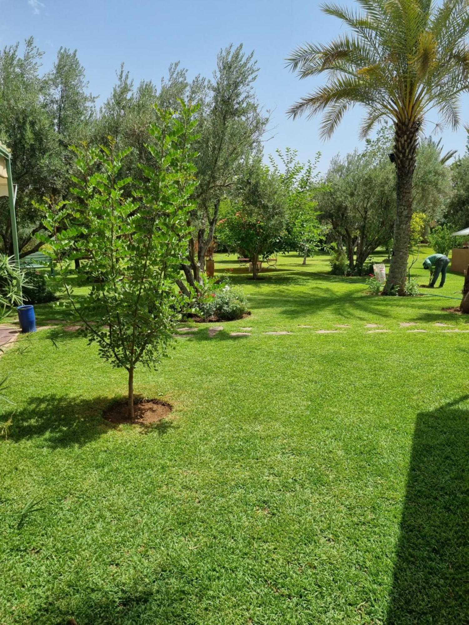 Riad Les Deux Citronniers Marraquexe Quarto foto